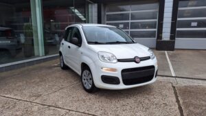 636336 fiat panda benzine (3)