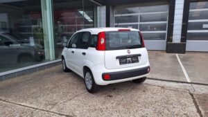 636336 fiat panda benzine (5)