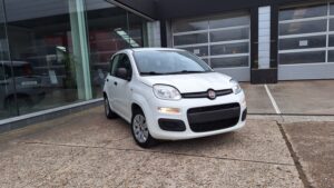 642385 fiat panda benzine (3)